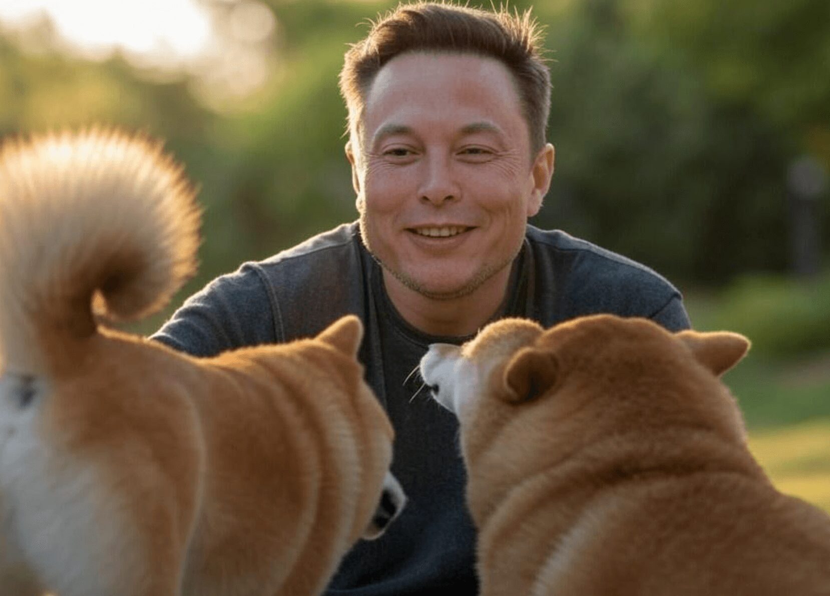 How The Tail Wags the DOGE